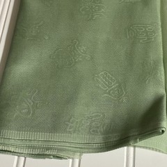 SILK Light Green, FABRIC 6 Yards x 22 Inches Wide or 216 Inches x 22 Wide