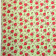VTG Strawberry Shortcake Those Characters From Cleveland 2003 Flannel Green BTY