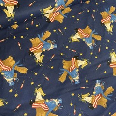 7.5 Bolt Yards Daisy Kingdom AIR FORCE ONE USA Patriotic Cotton Fabric #4063~NEW