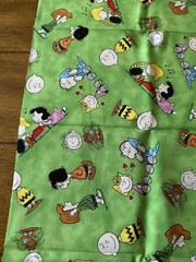 Peanuts Comics Characters Fabric Print: 18 1/4” x 43 1/2”