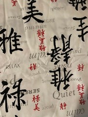 Asian White fabric with writings 1 yd x 65″