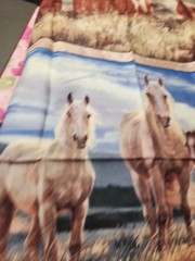 23×44 Panel KIT Quilt Wall Hanging Pillow Mustang horse Meadows 100 % cotton