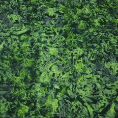 Crystals Forest Green BTY Paintbrush Studio Tonal Blender
