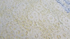 BTY ROSES FLORAL LACE Fabric Very subtle Off White/SNOW Color soft 56-58 Wide