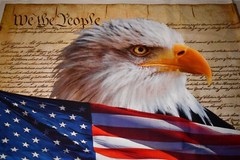 David Textiles DX-4234-3C-1 Eagle and Constitution Panel Cotton 36″ x 45″