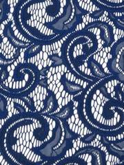 Navy Blue Floral Lace Fabric Special Occasion Mesh Apparel By the Yard