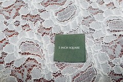 Lace Nylon Corded Paisley Shape Design Off-White Soft Drape One Piece Odd Size