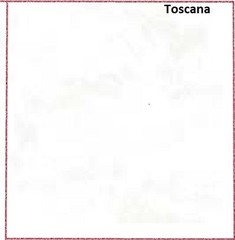 Toscana Mottled Tonal Cotton Quilt Fabric by Northcott 9020-520 Sunflower Yellow