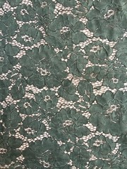 Summer HUNTER GREEN Floral Pattern Double Dyed Flat Lace on Mesh Fabric by the