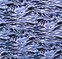 New Hoffman International Fabrics 19″ x 27″ Cotton Nature’s Elements Blue Waves