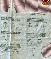 Cranston Dreamspinners Cut N Sew Springtime Vest XS-L Ties & Flaps & Yo-yos