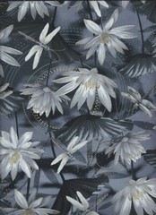 “Dragonfly Dance”, Black and Gray fats, Kanvas Studio, Set of 5 fat quarters