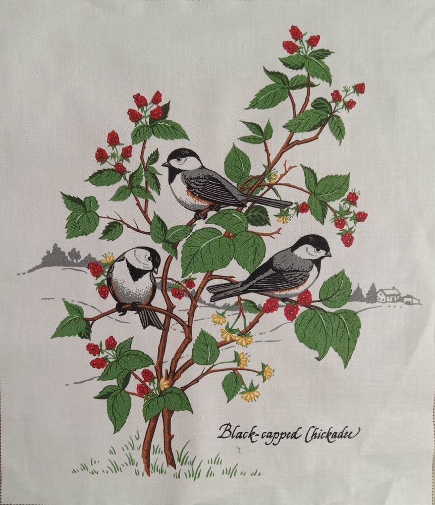 6.75″x8.25″~Vtg~”American Song Birds”~”Black-capped Chickadee”~Cotton Fabric