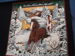Wild Horses Fabric 2 PANEL Blocks 100% Cotton for Pillows Crafts 38″ x 17″