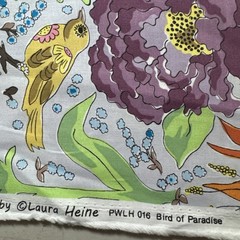 Laura Heine Fabric 2 Yards Paradise Color Fusion Free Spirit