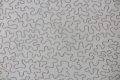 LEE JOFA CUTRAIN FABRIC DESIGN VermIcelli Print 5.9 METRES 100% COTTON