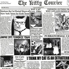 Timeless Treasures – Quirky Cats – Cat Newspaper – Newsprint