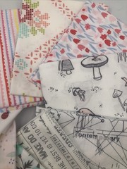 10 Piece Fat Quarters by Dear Stella for Hawthorne Supply Co Birds Pineapple
