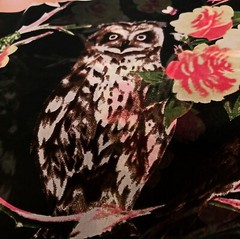 2 Yd Wild Animal Owl Chiffon Apparel Fabric Wood Floral Bunny Black