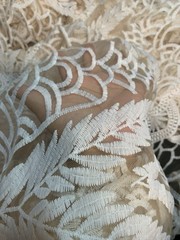 Off White Embroidered Tulle Mesh Fabric 4Yards x 44 Inches for Wedding Dress
