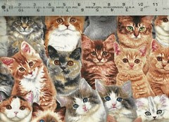 Elizabeths Studio ~ Realistic Kittens Cats Faces ~ 100% Cotton Quilt Fabric BTY