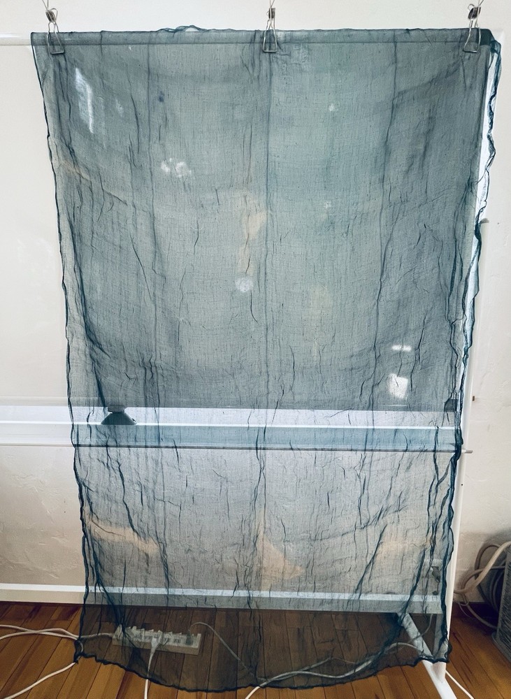 Antique Japanese Hand Spun Fine Hemp Kaya Mosquito Net Turquoise Seamless 70″