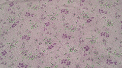 Fabric Joann Dark Purple Floral w/Small Purple Flowers as Backdrop 42″x36″ $4.49