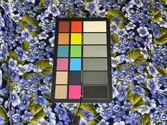 By 1/2 Yd “La Vie En Rose” Small Violets Blue & Green by Avlyn Fabric BTHY