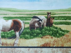 1 yard cotton quilt fabric MUSTANG MEADOW Nancy Glazier SSI South Sea Import BTY