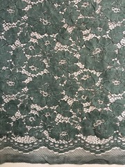 Summer HUNTER GREEN Floral Pattern Double Dyed Flat Lace on Mesh Fabric by the