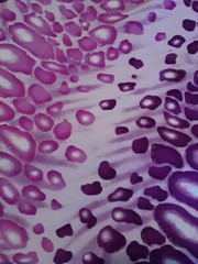 Fun Purple & Lavender Knit Fabric Cheetah type print 58″ wide 2 ½ yards