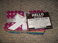 NEW Robert Kaufman Fat Eighth Bundle Blueberry Park by Karen Lewis Rainbow Color
