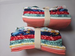 2 THE PIONEER WOMAN FAT QUARTER BUNDLE – Mazie