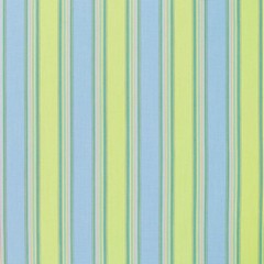 Sunbrella® Indoor / Outdoor Upholstery Fabric – Bravada Limelite 5602-0000
