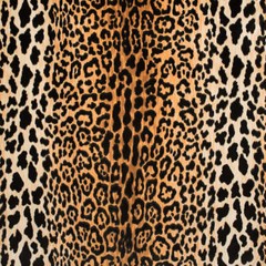 Jamil Natural P Kaufmann Fabric