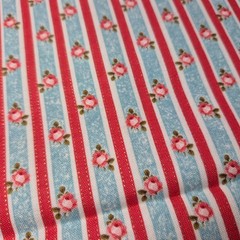 Sky Blue Red White Stripe Pink Roses Joann Buttercream Cotton Fabric 2 Yards