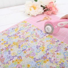 Threadart Premium Cotton Quilting Fabric Spring Picnic Collection – By the Yard
