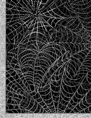 Halloween Fabric | Wicked Spider Webs Black White | Timeless Treasures YARD