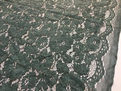 Summer HUNTER GREEN Floral Pattern Double Dyed Flat Lace on Mesh Fabric by the