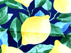 Richloom Solarium Outdoor Fabric Lemons Citrus In Sapphire 4.5 Yard Lot