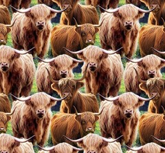 Country Rustic Fabric | Packed Realistic Highland Cow | David Textiles YARD