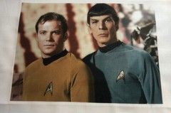 Star Trek Captain Kirk Dr Spock SEWING BLOCK QUILT FABRIC MOVIE