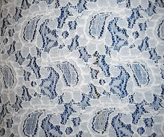 Lace Nylon Corded Paisley Shape Design Off-White Soft Drape One Piece Odd Size