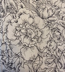 Black/White Allover Peonies 100% Cotton Fabric