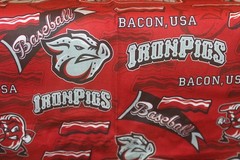 Lehigh Valley Iron Pigs Fabric Remnant MLB 43″ x 107″ Minor League Baseball