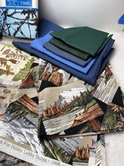 Fabric Scraps Lot Of 14 Pieces 4”-44” W Quilting Crafts Western Horses Outdoors