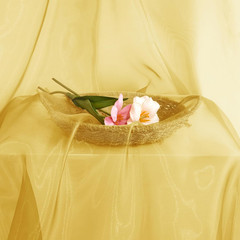 Sheer Organza Fabric by the Yard, 1 Yard X 60 Inch Wide Bridal Gold Organza Tull