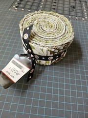 Jelly Roll Studio e Fresh Aire By BJ Lantz 32 Strips 21/2″x42″