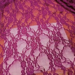 2 yd Floral Rose Nylon Lace Apparel Special Occasion Bolt End