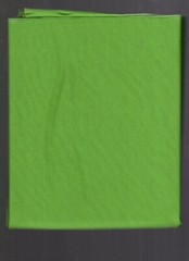 1 yard glissinet 60″ wide 90% nylon 10% spandex green